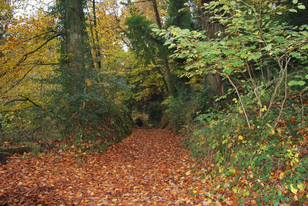 Gite La Chouette Bégard Exteriör bild